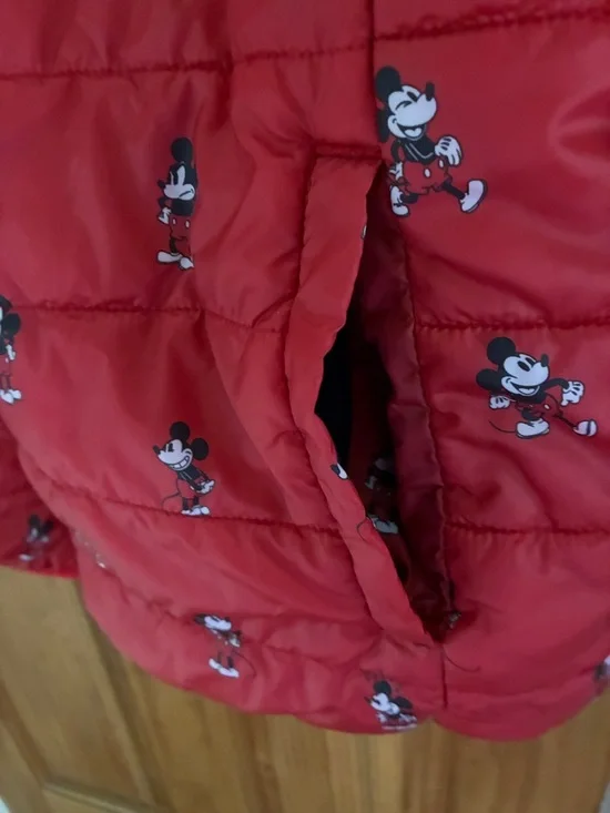 Disney Red Quilted Jacket with Character Print - Picture 3 of 8
